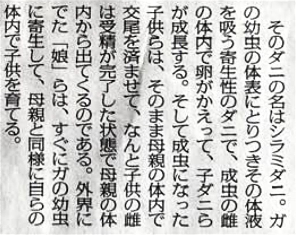 f:id:jigemon2019:20220123142101j:image f:id:jigemon2019:20220123142101j:image
