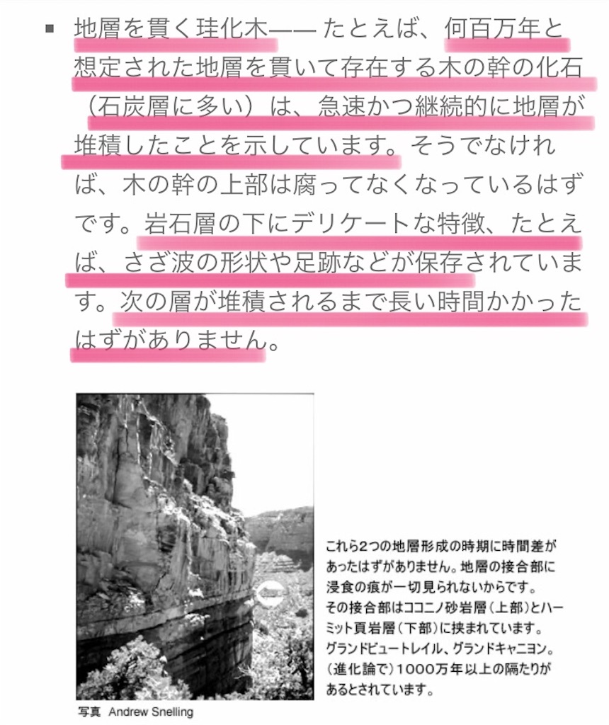 f:id:jigemon2019:20220123160157j:image f:id:jigemon2019:20220123160157j:image