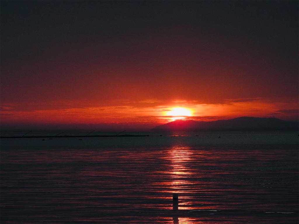 f:id:jigemon2019:20221110035216j:image f:id:jigemon2019:20221110035216j:image