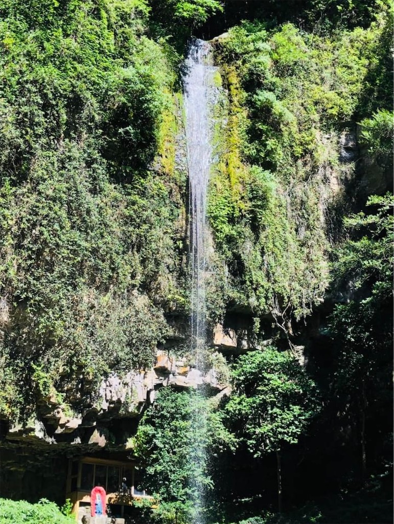 f:id:jigemon2019:20221112132530j:image f:id:jigemon2019:20221112132530j:image