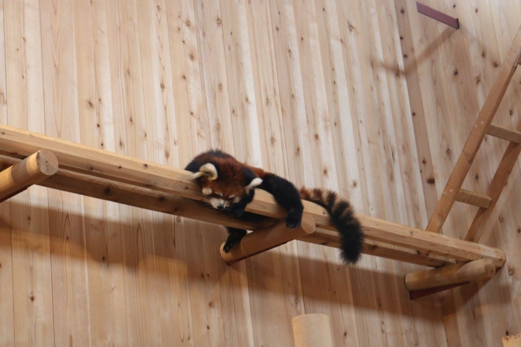 f:id:jigintern2017:20170825220227j:plain