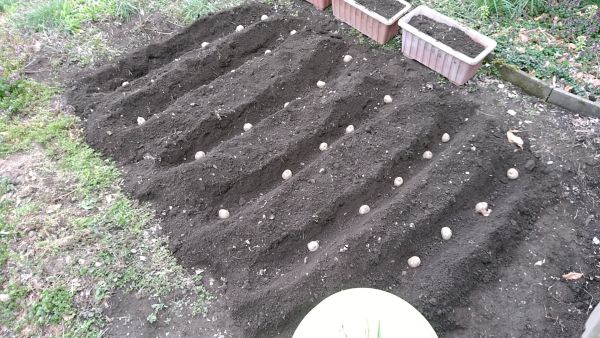 f:id:jigkichi:20200621085327j:plain