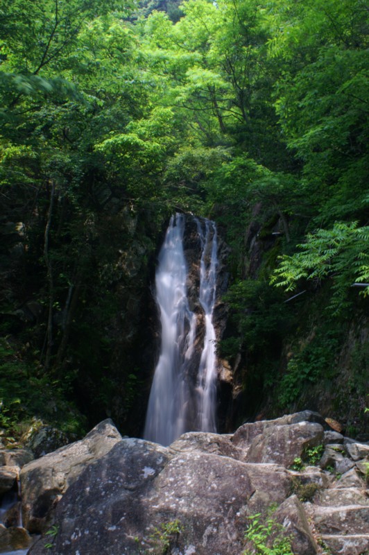 f:id:jigrat:20060603114019j:image