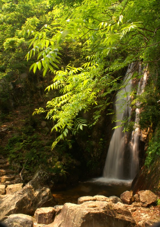 f:id:jigrat:20060603122643j:image