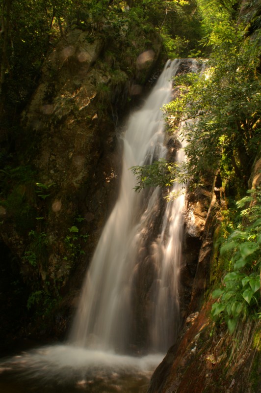 f:id:jigrat:20060603123234j:image
