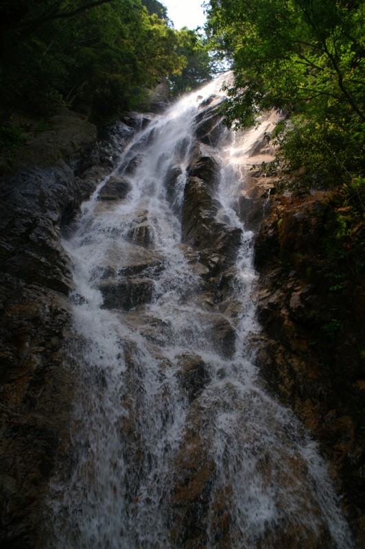 f:id:jigrat:20060603133600j:image