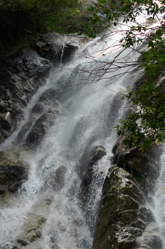 f:id:jigrat:20060603134839j:image