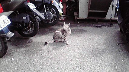 f:id:jigrat:20100227191310j:image f:id:jigrat:20100227191310j:image