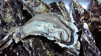 f:id:jigrat:20100227191326j:image f:id:jigrat:20100227191326j:image