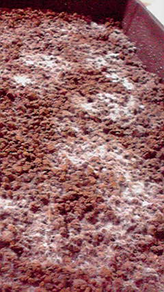 f:id:jigrat:20100313195642j:image f:id:jigrat:20100313195642j:image