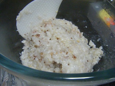 f:id:jigrat:20110314215925j:image