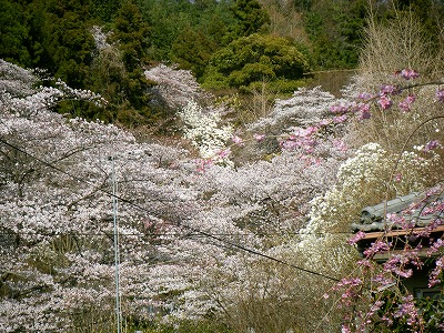 f:id:jigrat:20110407172423j:image