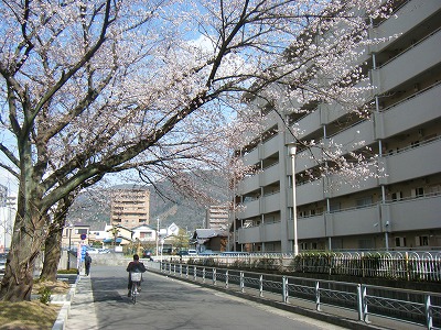 f:id:jigrat:20110407172426j:image