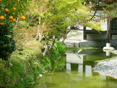 f:id:jigrat:20110418140509j:image