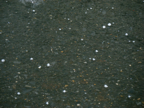 f:id:jigrat:20110517045207j:image