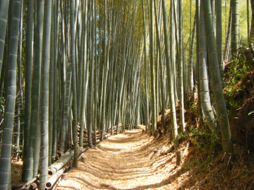 f:id:jigrat:20110519151053j:image