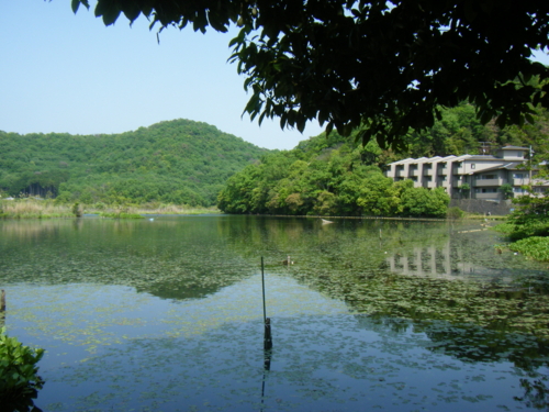 f:id:jigrat:20110520162105j:image