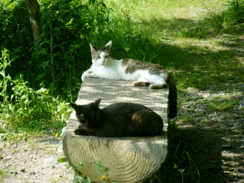 f:id:jigrat:20110520162848j:image