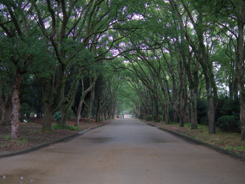 f:id:jigrat:20140202125750j:image:w640