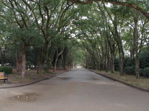 f:id:jigrat:20140202130140j:image:w640