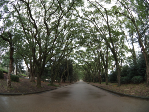 f:id:jigrat:20140202130255j:image:w640