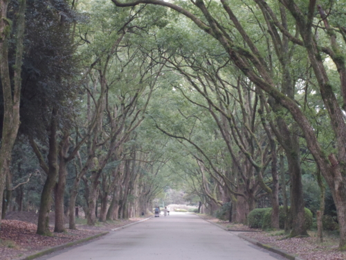 f:id:jigrat:20140202130359j:image:w640