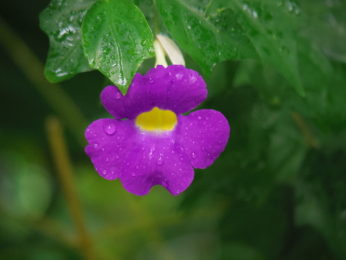 f:id:jigrat:20140202132730j:image:w640