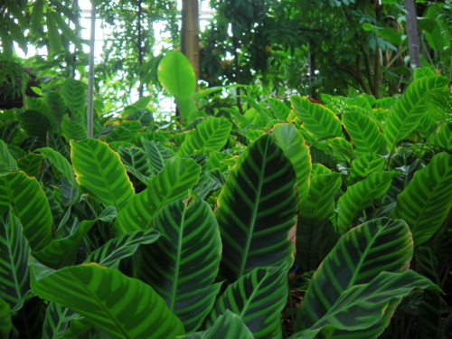 f:id:jigrat:20140202133641j:image:w640