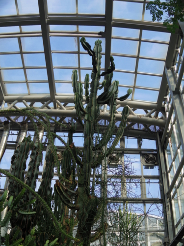 f:id:jigrat:20140202135536j:image:w640