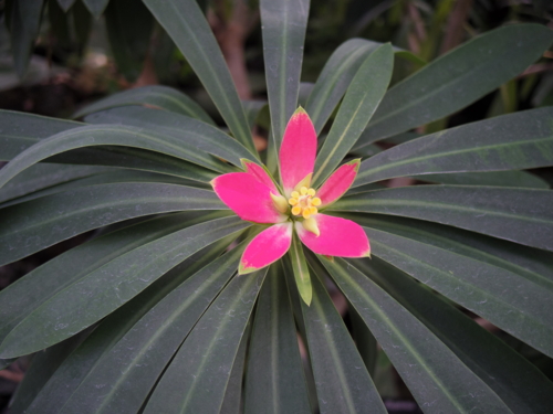 f:id:jigrat:20140202141355j:image:w640