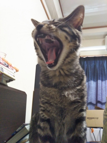 f:id:jigrat:20160822083915j:image