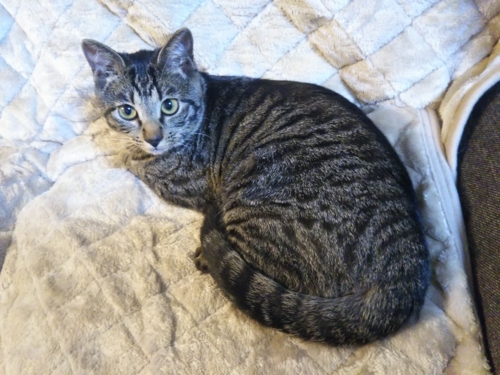 f:id:jigrat:20161008161056j:image