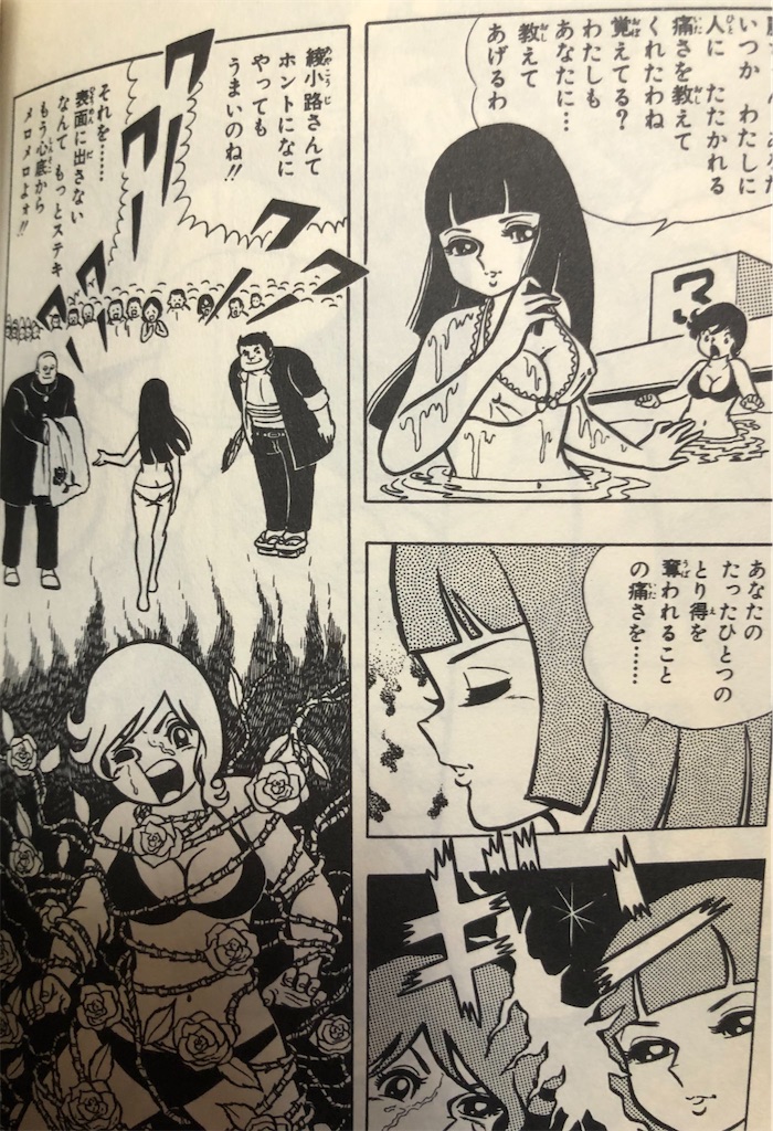 1970年後半ジャンプ打ち切り漫画紹介 スケ番あらし ブルーシティー