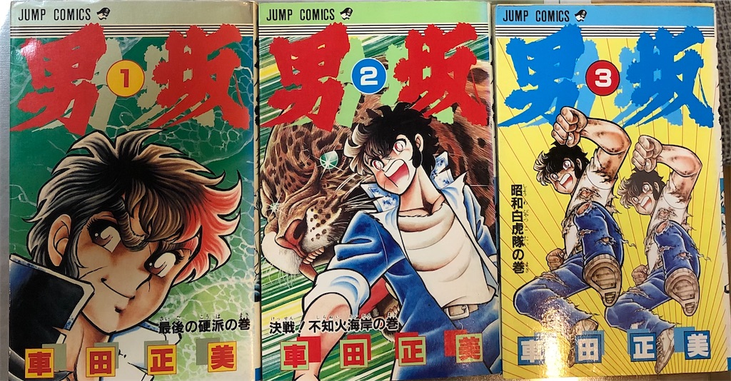 男坂 1984年 - 津尾尋華のジャンプ打ち切り漫画紹介