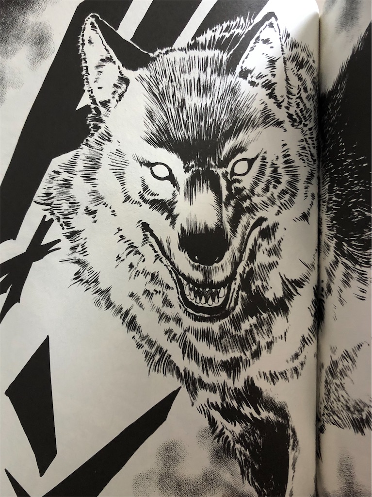 飛ぶ教室 1985年 津尾尋華のジャンプ打ち切り漫画紹介