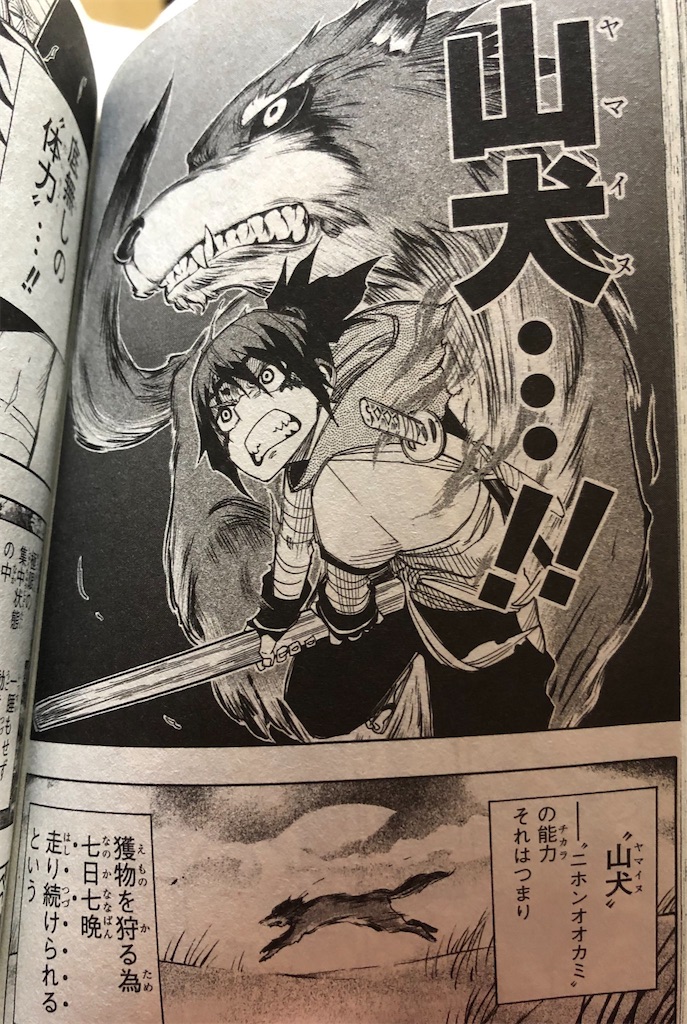 ヨアケモノ 14年 津尾尋華のジャンプ打ち切り漫画紹介 ヨアケモノ 14年 津尾尋華のジャンプ打ち切り漫画紹介