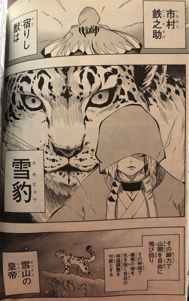 f:id:jiholeopardon:20210731185614j:image f:id:jiholeopardon:20210731185614j:image