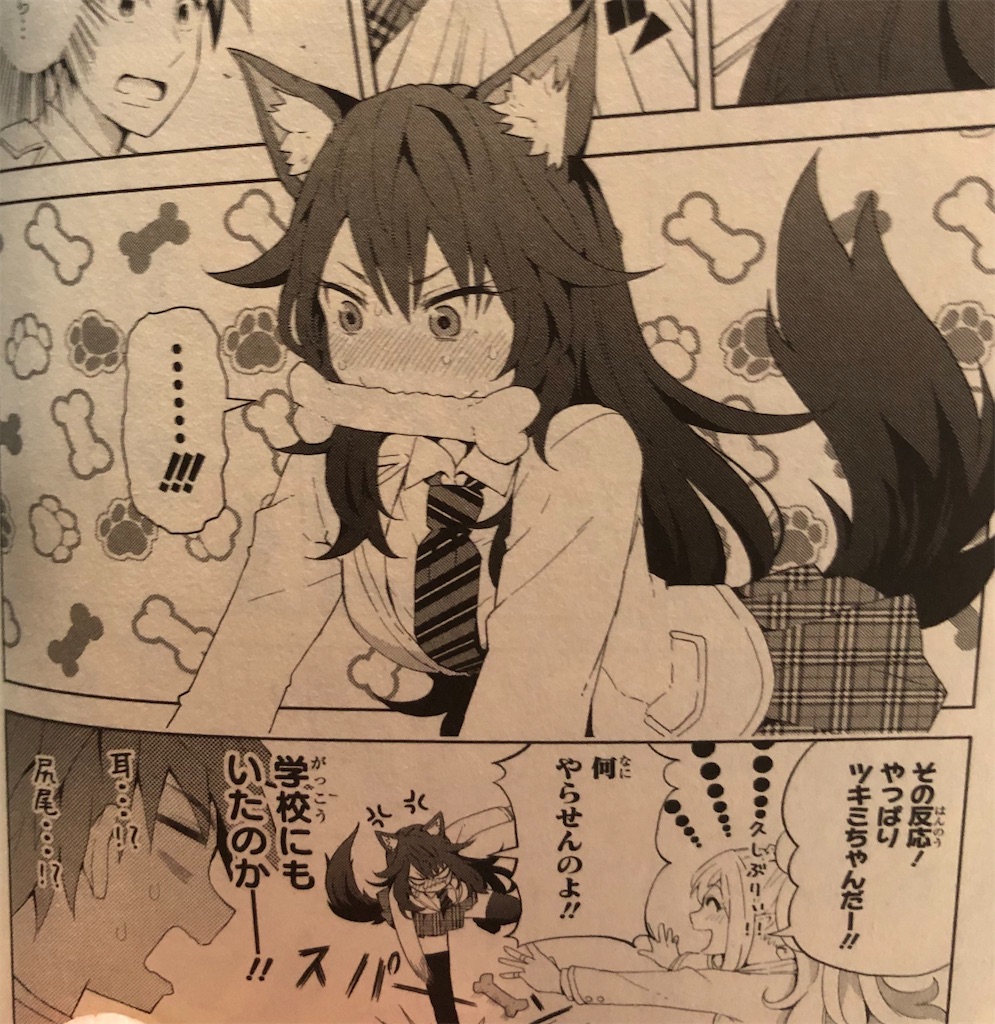 f:id:jiholeopardon:20210814193502j:image f:id:jiholeopardon:20210814193502j:image