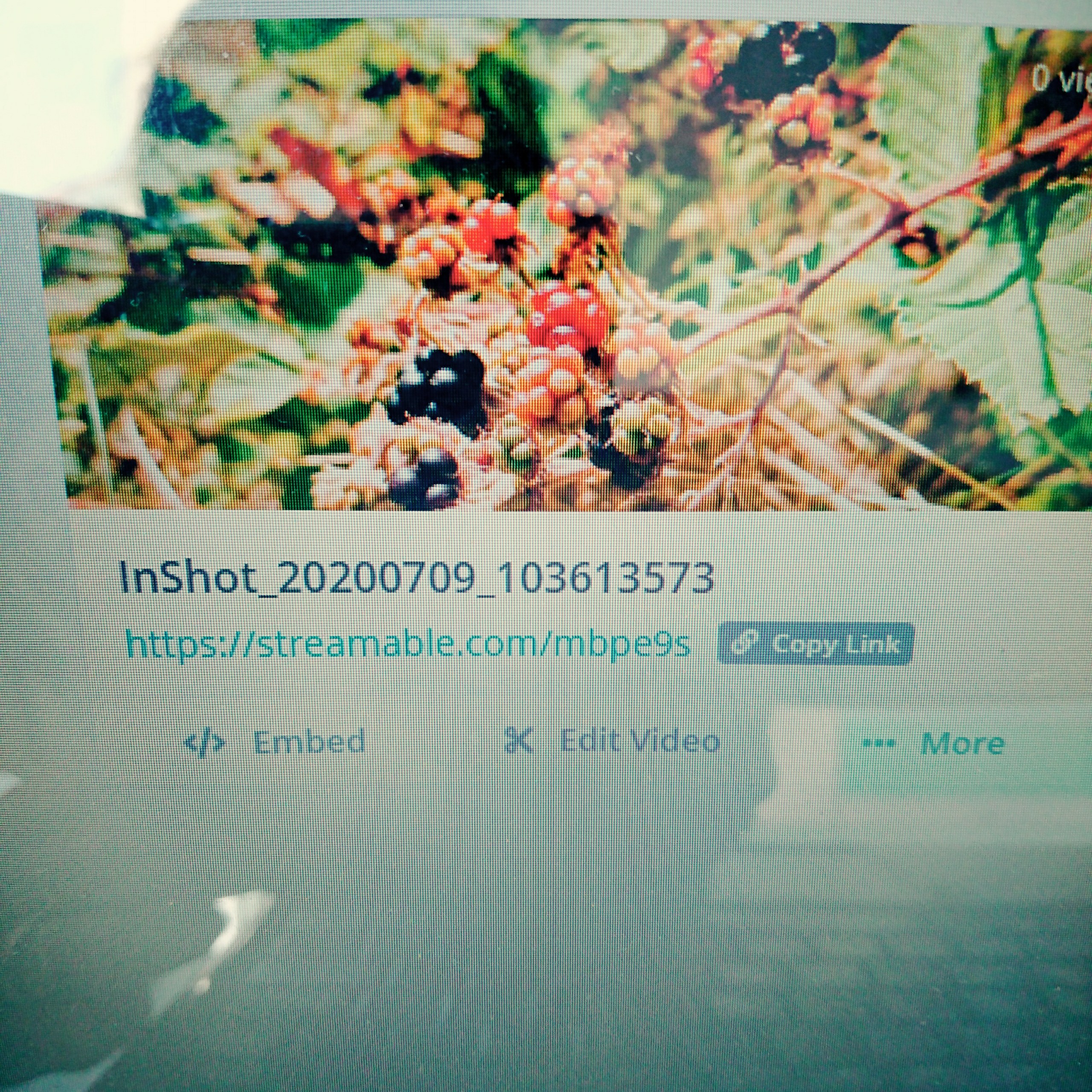f:id:jijikikiito:20200730001246j:image