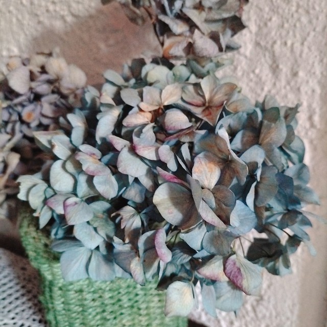 f:id:jijikikiito:20210903013531j:image