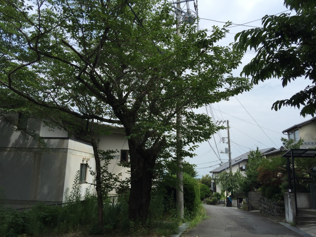 f:id:jijiro:20160713095817j:plain f:id:jijiro:20160713095817j:plain