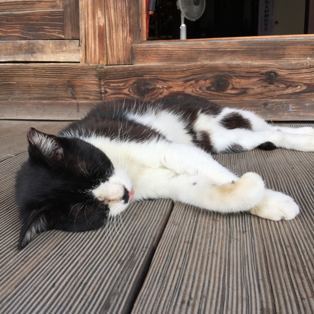 f:id:jijiro:20160811133734j:plain f:id:jijiro:20160811133734j:plain