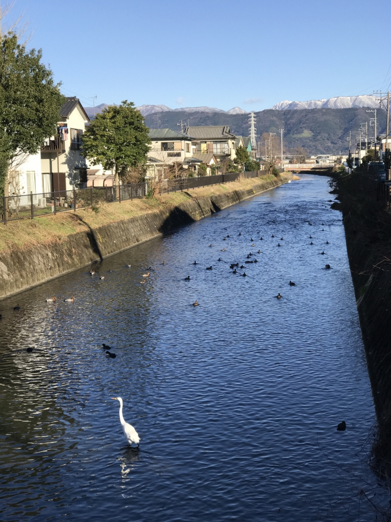 f:id:jijiro:20161228085421j:plain