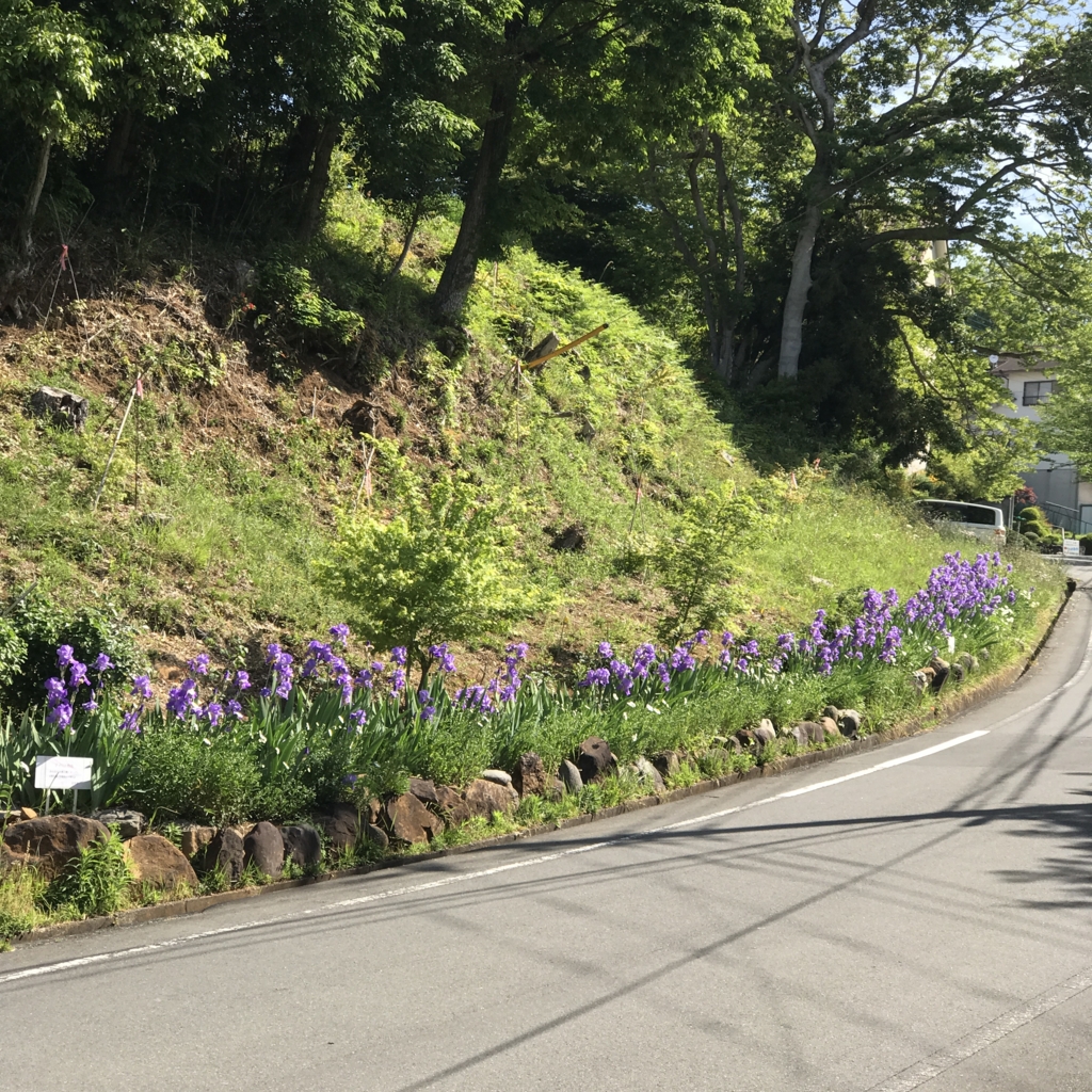 f:id:jijiro:20170505085231j:plain f:id:jijiro:20170505085231j:plain