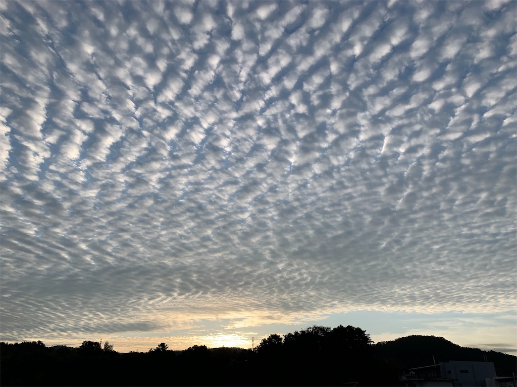 かの友とかの草原とうろこ雲 あ いずぃなり