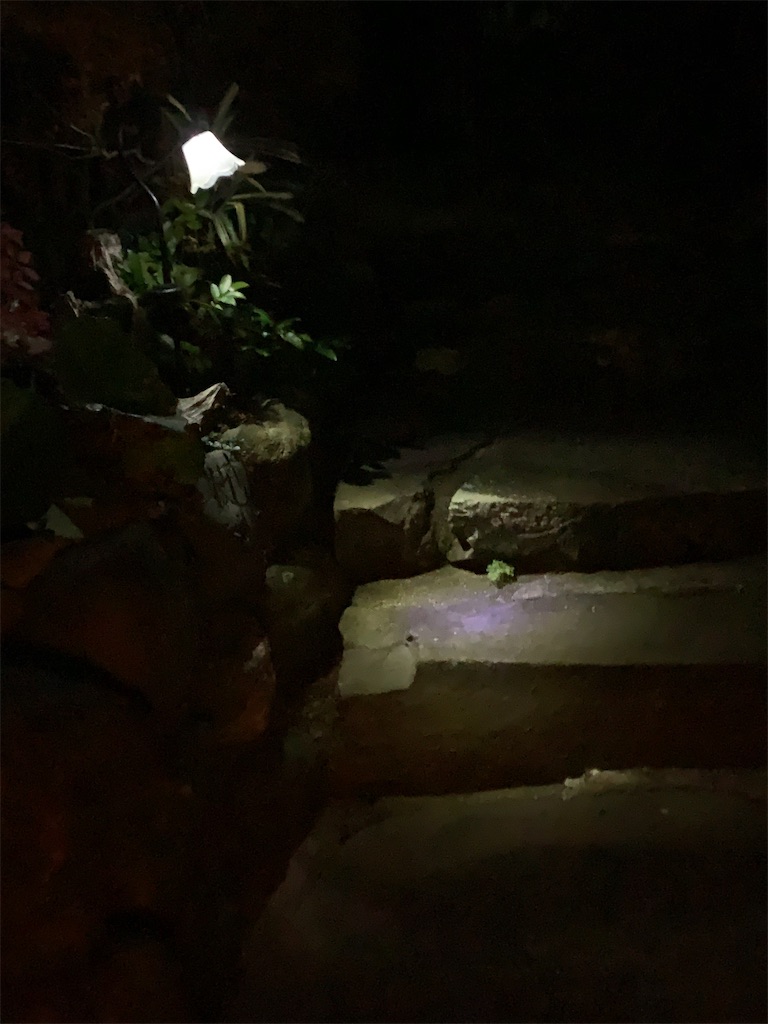 f:id:jijiro:20191209211536j:image