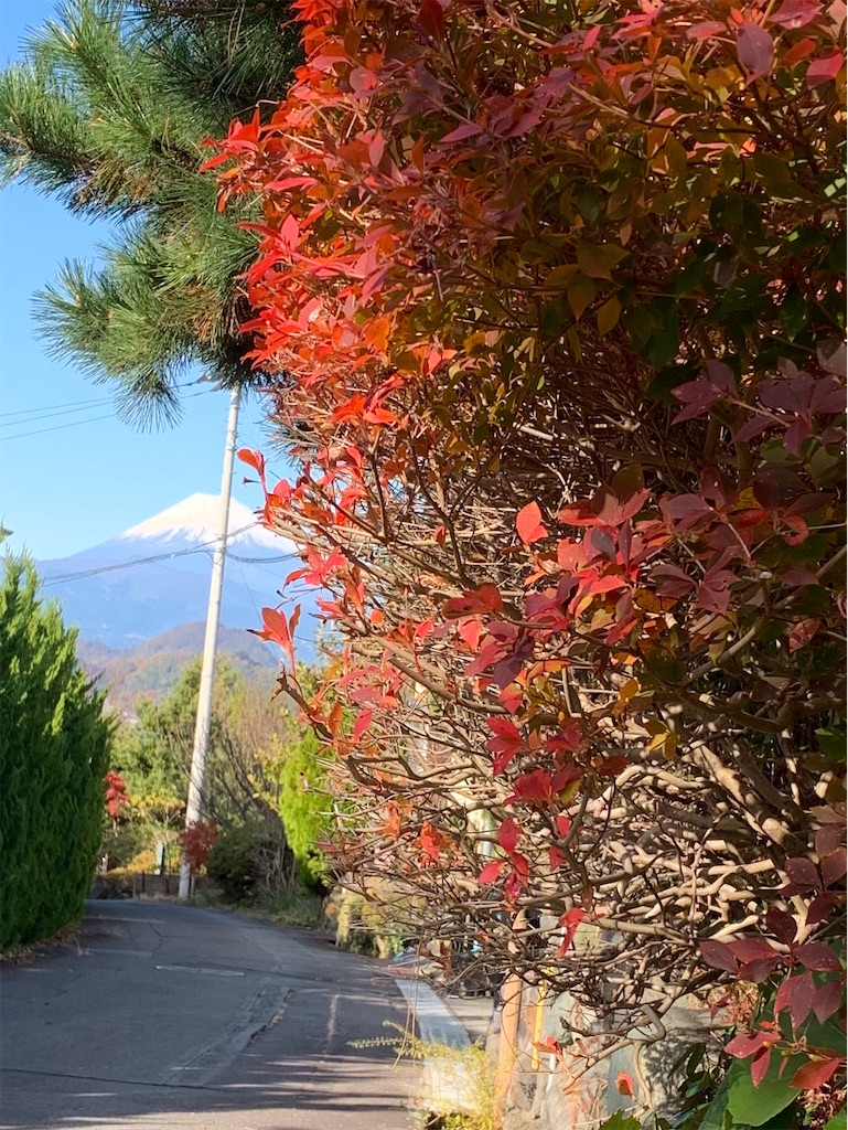 f:id:jijiro:20191209212200j:image