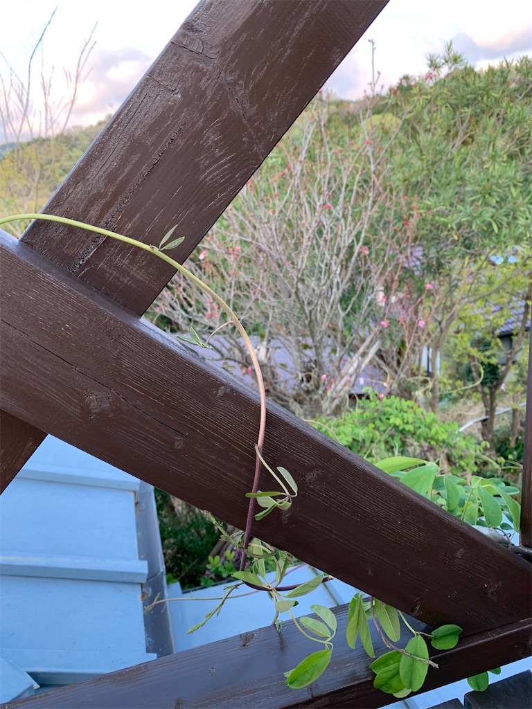 f:id:jijiro:20200406183313j:image f:id:jijiro:20200406183313j:image