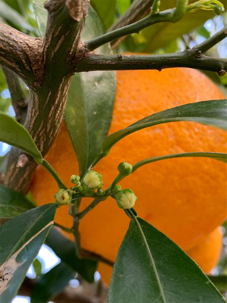 f:id:jijiro:20200411172333j:image f:id:jijiro:20200411172333j:image