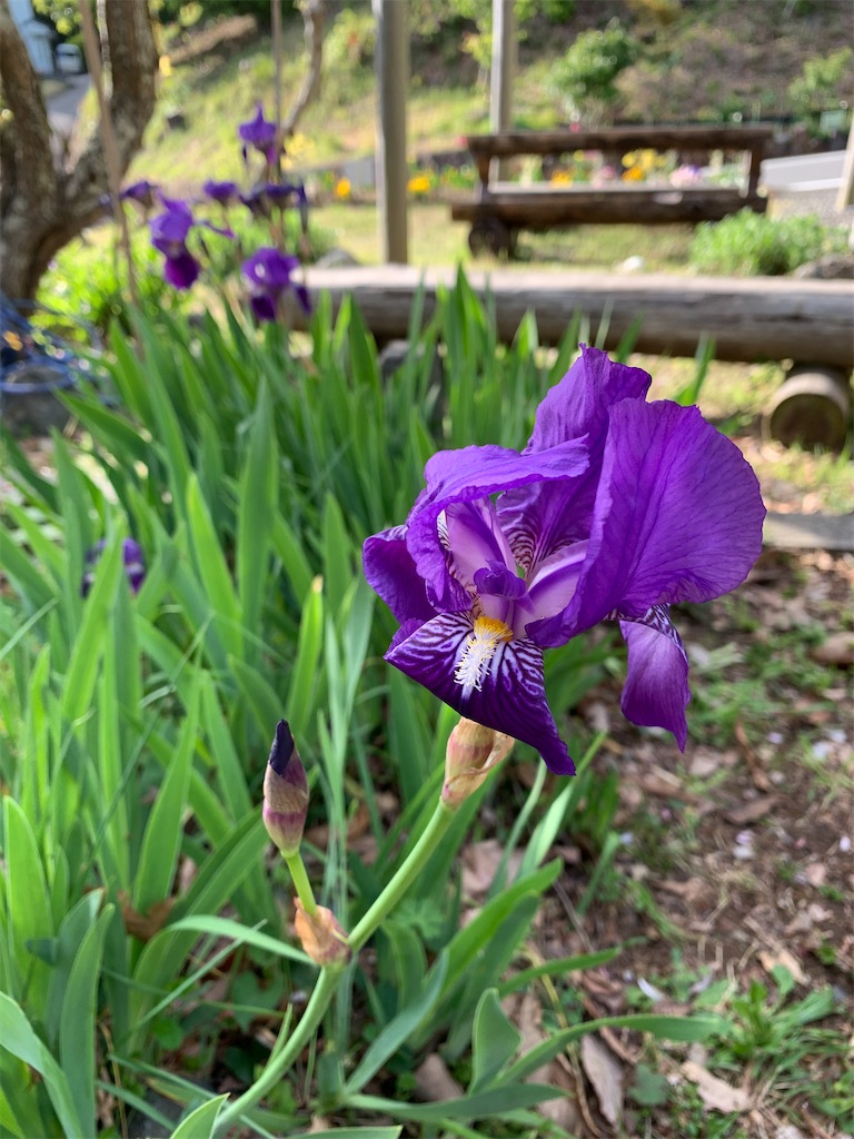 f:id:jijiro:20200421200748j:image f:id:jijiro:20200421200748j:image